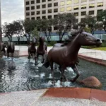 10 Best Things to Do in Irving, 2023